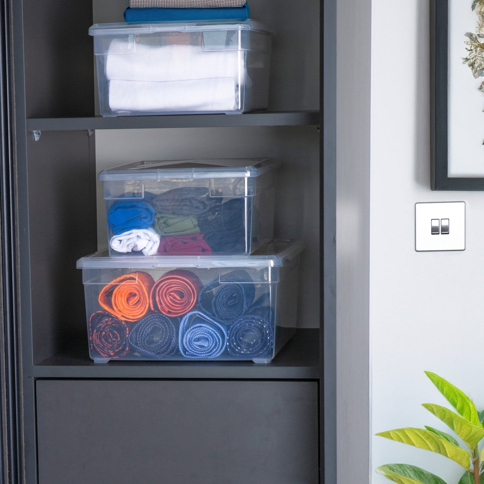 TOW Tubb. Clear Storage Box with Lid - 10 L - The Organizing Warehouse