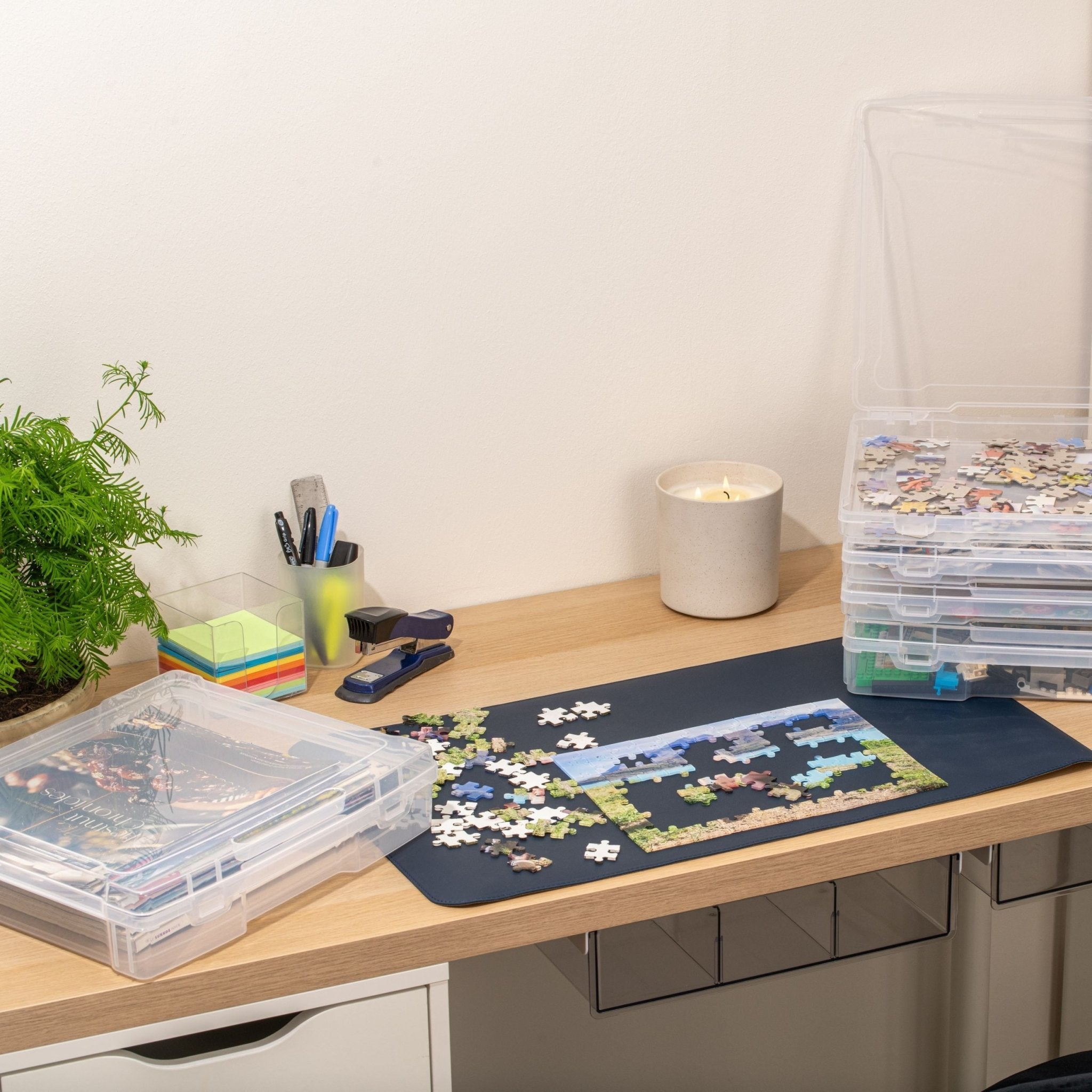 TOW Snapp. Clear Project Case – XL - The Organizing Warehouse